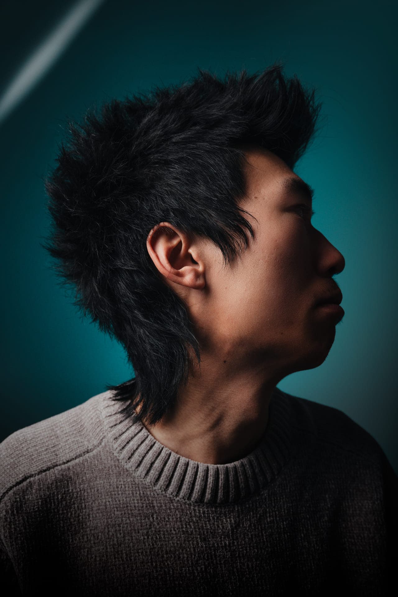 Model haircut